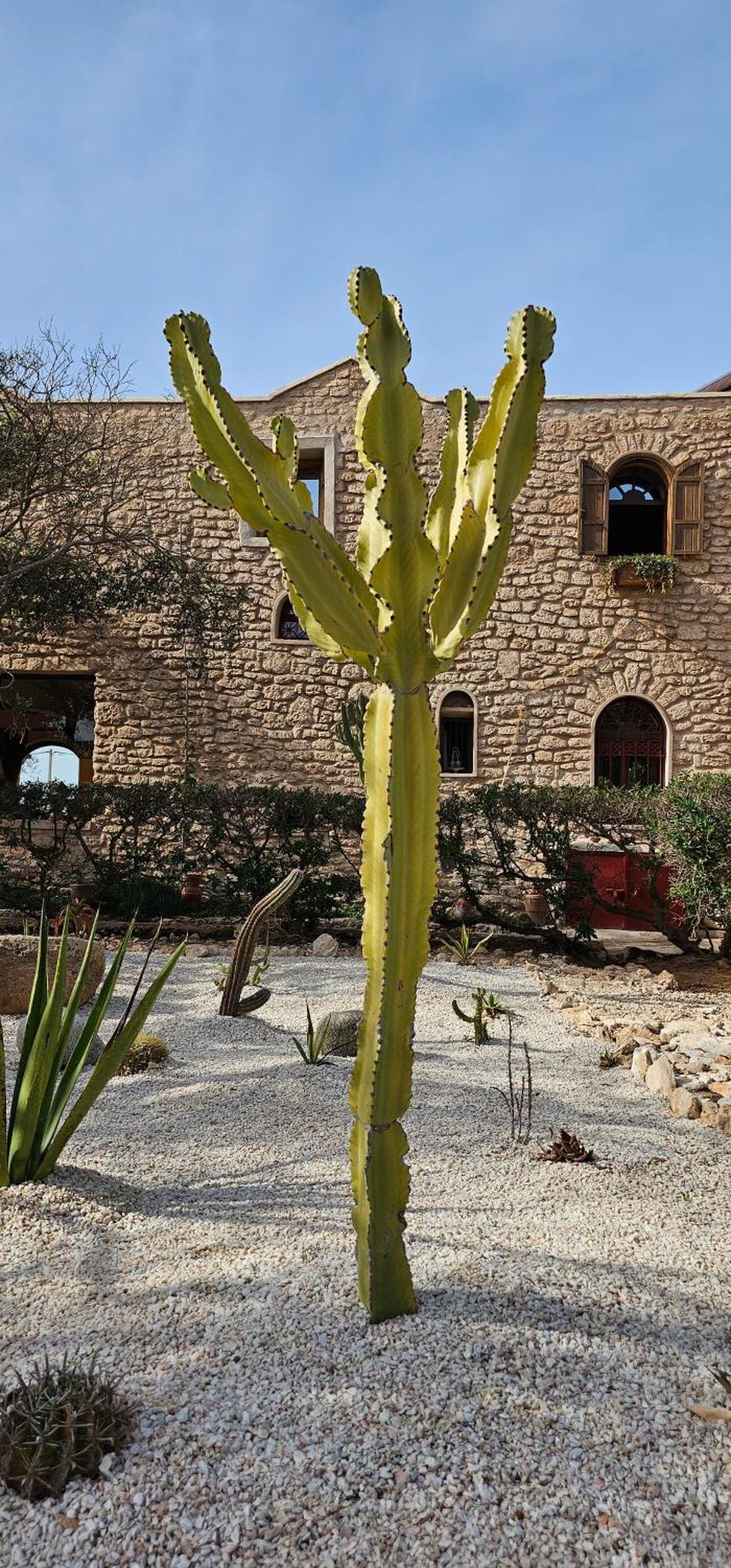 Golden Baibah Hotel Zaouia Akermoud Exterior foto